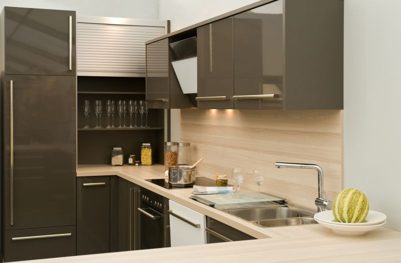 Contemporary Kitchen Design